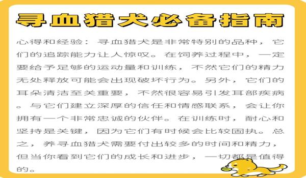 三角洲怎样当寻血猎犬(三角洲行动里寻血猎犬的最佳装备) 三角洲怎样当寻血猎犬(三角洲行动里寻血猎犬的最佳装备)