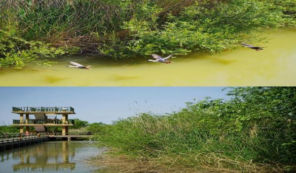 三角洲手游辅助神器推荐(有没有三角洲手游最佳辅助推荐?) 三角洲手游辅助神器推荐(有没有三角洲手游最佳辅助推荐?)